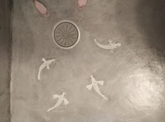 Sugar Cubes בית נופש